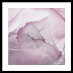 Load image into Gallery viewer, Pink petals close up - Framed Print
