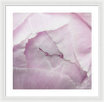 Load image into Gallery viewer, Pink petals close up - Framed Print
