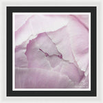 Load image into Gallery viewer, Pink petals close up - Framed Print
