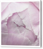 Load image into Gallery viewer, Pink petals close up - Acrylic Print
