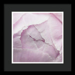 Load image into Gallery viewer, Pink petals close up - Framed Print
