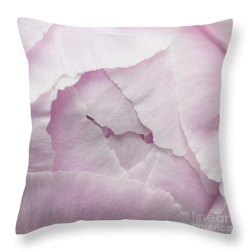 Pink petals close up - Throw Pillow