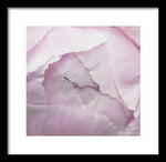 Load image into Gallery viewer, Pink petals close up - Framed Print
