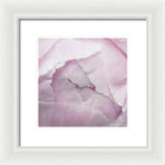 Load image into Gallery viewer, Pink petals close up - Framed Print
