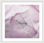 Load image into Gallery viewer, Pink petals close up - Framed Print
