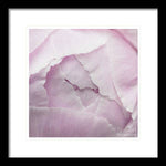 Load image into Gallery viewer, Pink petals close up - Framed Print

