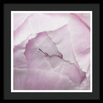 Load image into Gallery viewer, Pink petals close up - Framed Print
