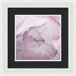 Load image into Gallery viewer, Pink petals close up - Framed Print
