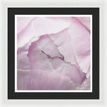 Load image into Gallery viewer, Pink petals close up - Framed Print
