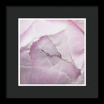 Load image into Gallery viewer, Pink petals close up - Framed Print
