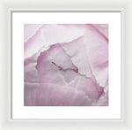 Load image into Gallery viewer, Pink petals close up - Framed Print
