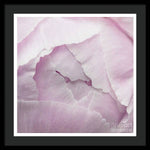 Load image into Gallery viewer, Pink petals close up - Framed Print
