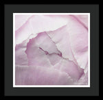 Load image into Gallery viewer, Pink petals close up - Framed Print
