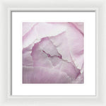 Load image into Gallery viewer, Pink petals close up - Framed Print
