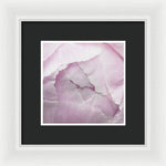 Load image into Gallery viewer, Pink petals close up - Framed Print
