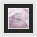 Load image into Gallery viewer, Pink petals close up - Framed Print
