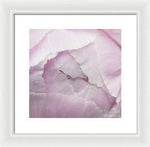Load image into Gallery viewer, Pink petals close up - Framed Print
