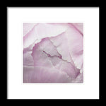Load image into Gallery viewer, Pink petals close up - Framed Print
