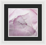 Load image into Gallery viewer, Pink petals close up - Framed Print
