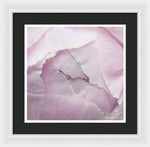 Load image into Gallery viewer, Pink petals close up - Framed Print
