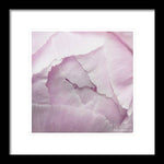 Load image into Gallery viewer, Pink petals close up - Framed Print
