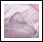 Load image into Gallery viewer, Pink petals close up - Framed Print
