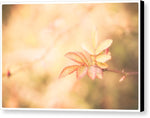 Load image into Gallery viewer, Plant frills 2 - Canvas Print
