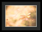 Load image into Gallery viewer, Plant frills 2 - Framed Print
