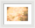 Load image into Gallery viewer, Plant frills 2 - Framed Print
