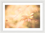 Load image into Gallery viewer, Plant frills 2 - Framed Print
