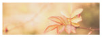 Load image into Gallery viewer, Plant frills 2 - Yoga Mat
