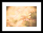 Load image into Gallery viewer, Plant frills 2 - Framed Print
