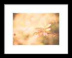 Load image into Gallery viewer, Plant frills 2 - Framed Print
