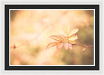 Load image into Gallery viewer, Plant frills 2 - Framed Print
