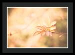 Load image into Gallery viewer, Plant frills 2 - Framed Print
