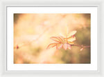 Load image into Gallery viewer, Plant frills 2 - Framed Print
