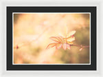 Load image into Gallery viewer, Plant frills 2 - Framed Print
