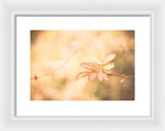 Load image into Gallery viewer, Plant frills 2 - Framed Print
