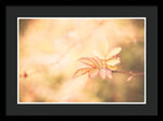 Load image into Gallery viewer, Plant frills 2 - Framed Print
