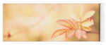 Load image into Gallery viewer, Plant frills 2 - Yoga Mat
