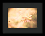 Load image into Gallery viewer, Plant frills 2 - Framed Print
