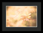Load image into Gallery viewer, Plant frills 2 - Framed Print
