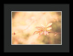 Load image into Gallery viewer, Plant frills 2 - Framed Print
