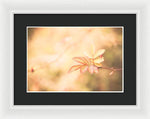 Load image into Gallery viewer, Plant frills 2 - Framed Print
