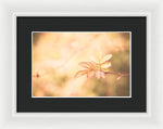 Load image into Gallery viewer, Plant frills 2 - Framed Print
