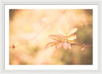 Load image into Gallery viewer, Plant frills 2 - Framed Print
