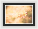 Load image into Gallery viewer, Plant frills 2 - Framed Print

