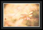 Load image into Gallery viewer, Plant frills 2 - Framed Print
