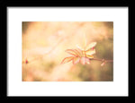 Load image into Gallery viewer, Plant frills 2 - Framed Print
