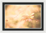Load image into Gallery viewer, Plant frills 2 - Framed Print
